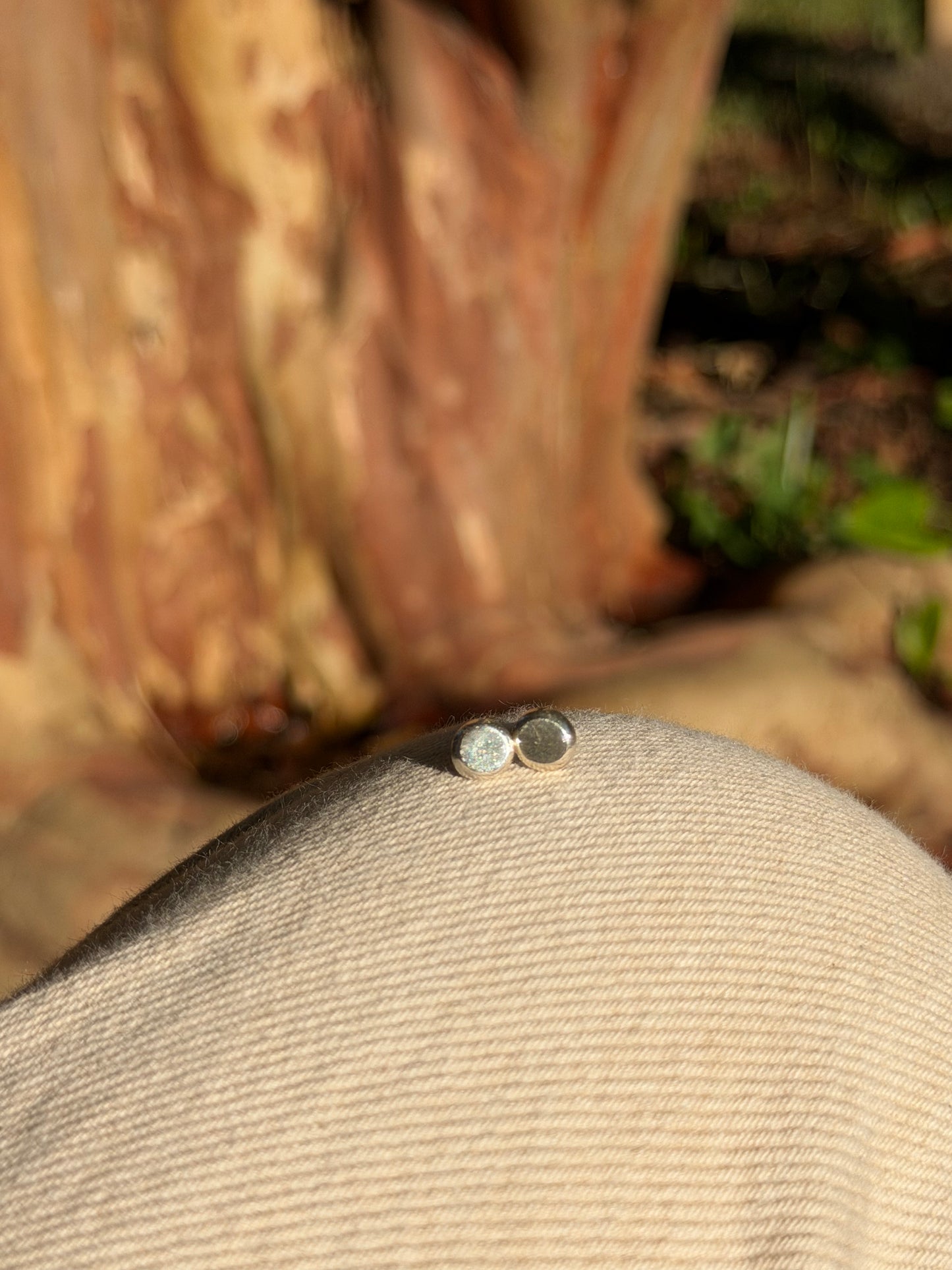 Silver Stud Earrings