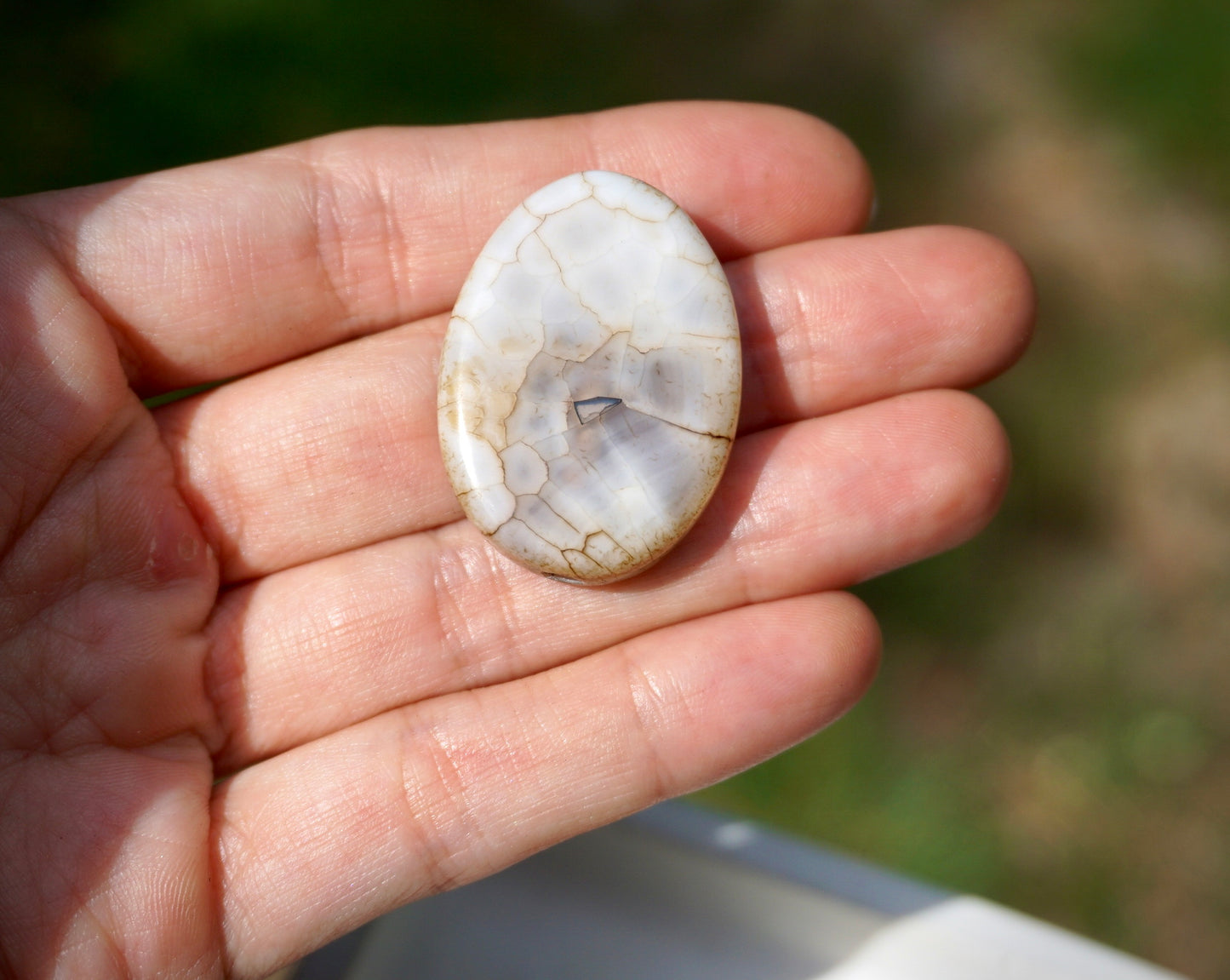 Montana Agate - White / Oval