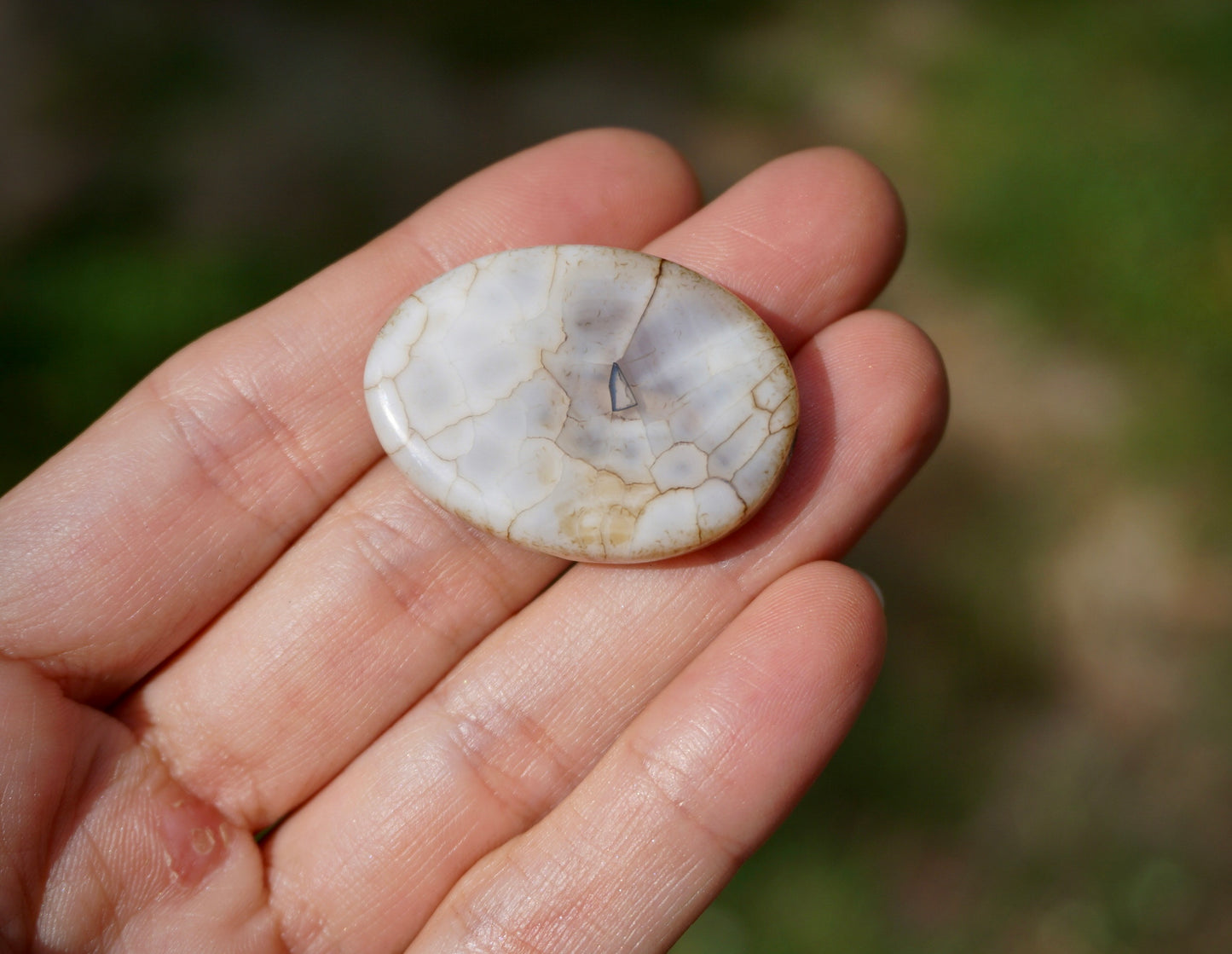 Montana Agate - White / Oval