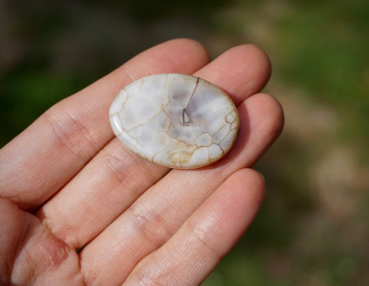 Montana Agate - White / Oval