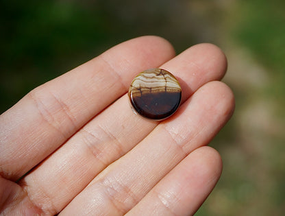 Montana Agate - Round I