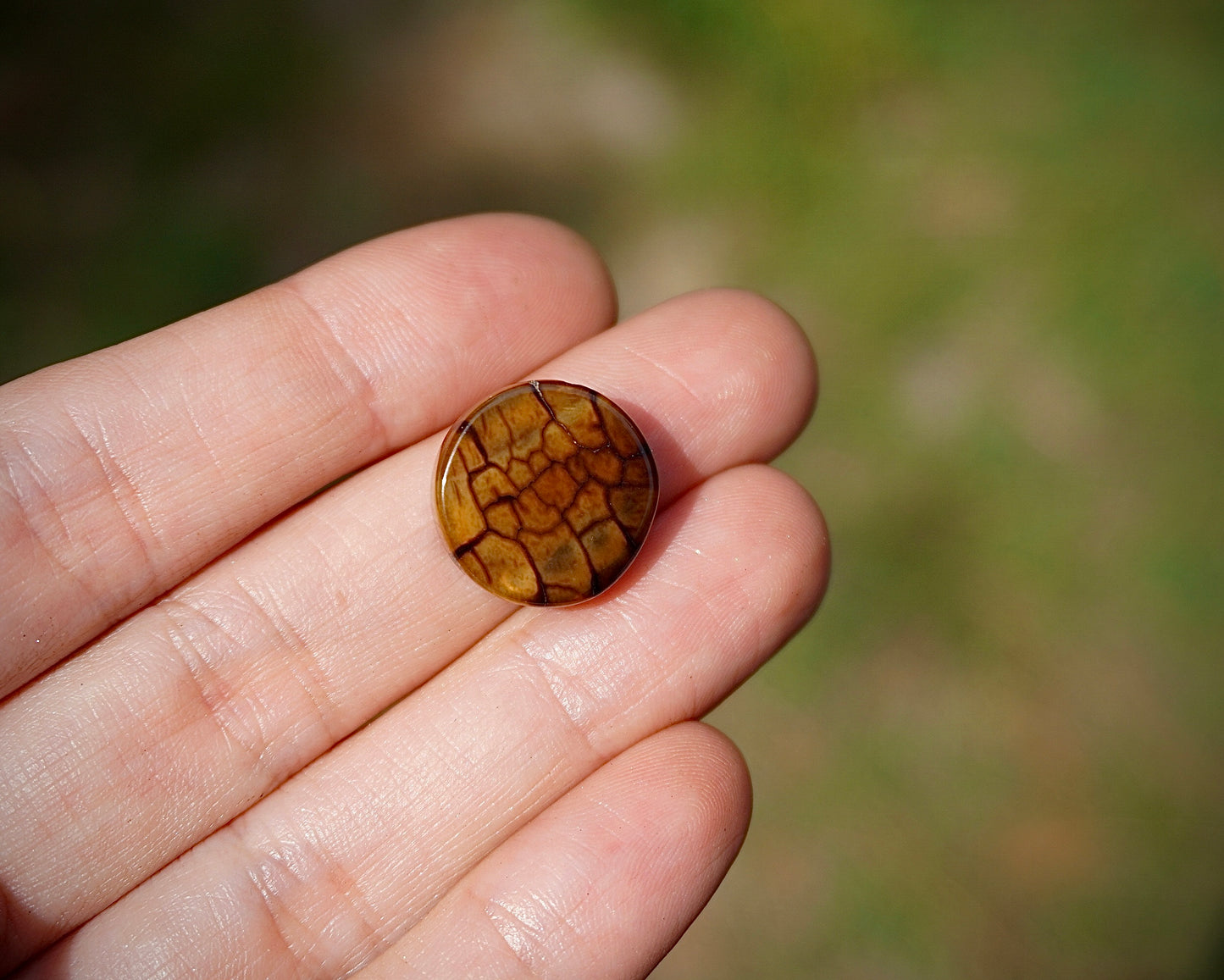 Montana Agate - Round II