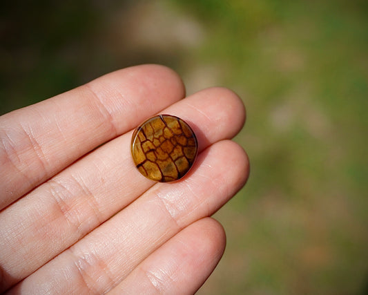 Montana Agate - Round II
