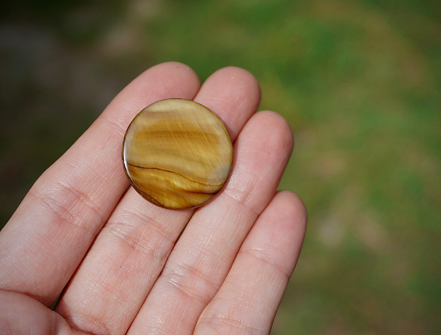 Tigers Eye