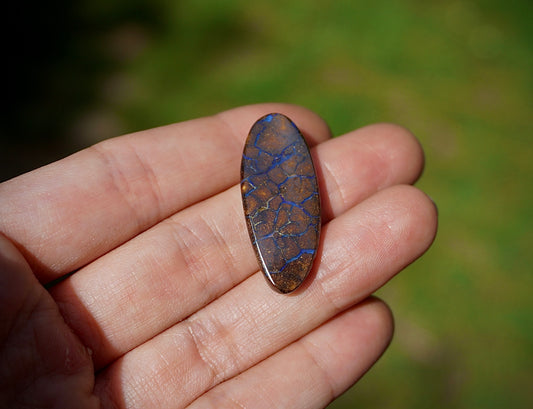 Boulder Opal I