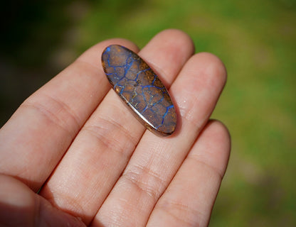 Boulder Opal I