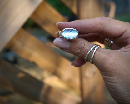 Abalone Shell I - Size 6-6.25