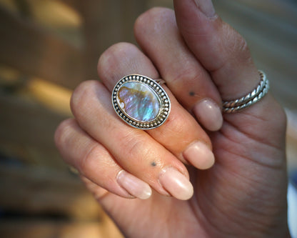 Abalone Shell II - Size 7
