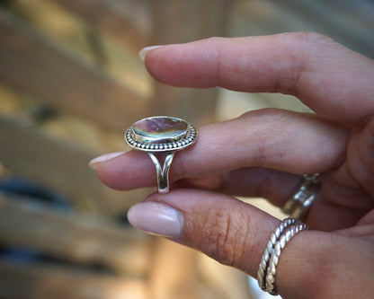 Abalone Shell II - Size 7
