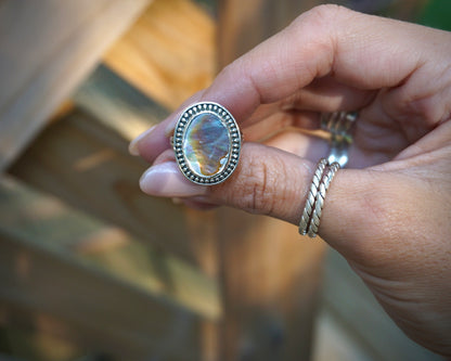 Abalone Shell II - Size 7