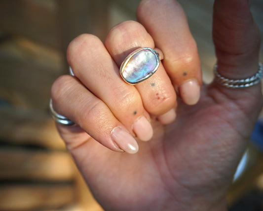 Abalone Shell I - Size 6-6.25