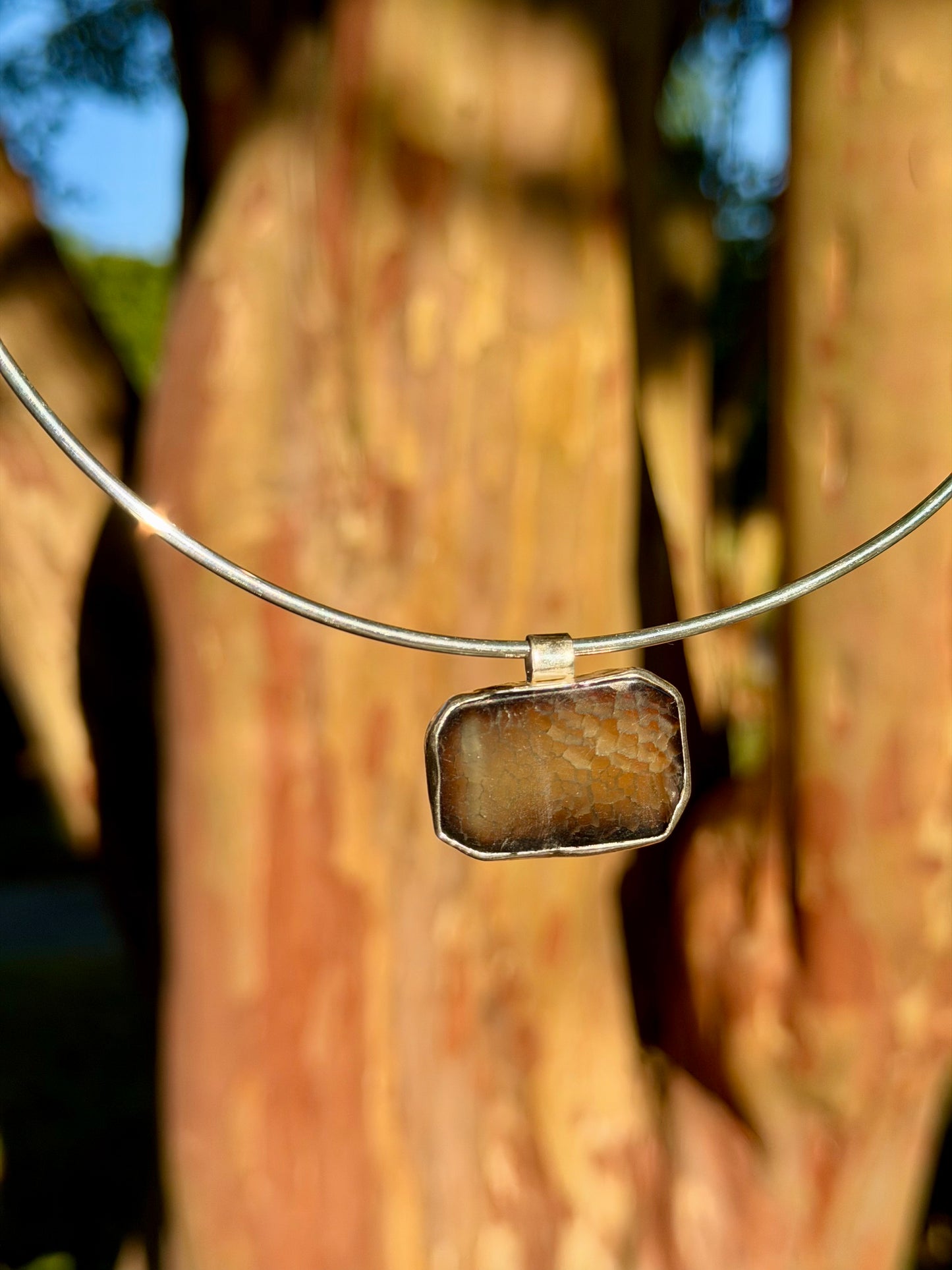 Fossil Agate Collar Necklace