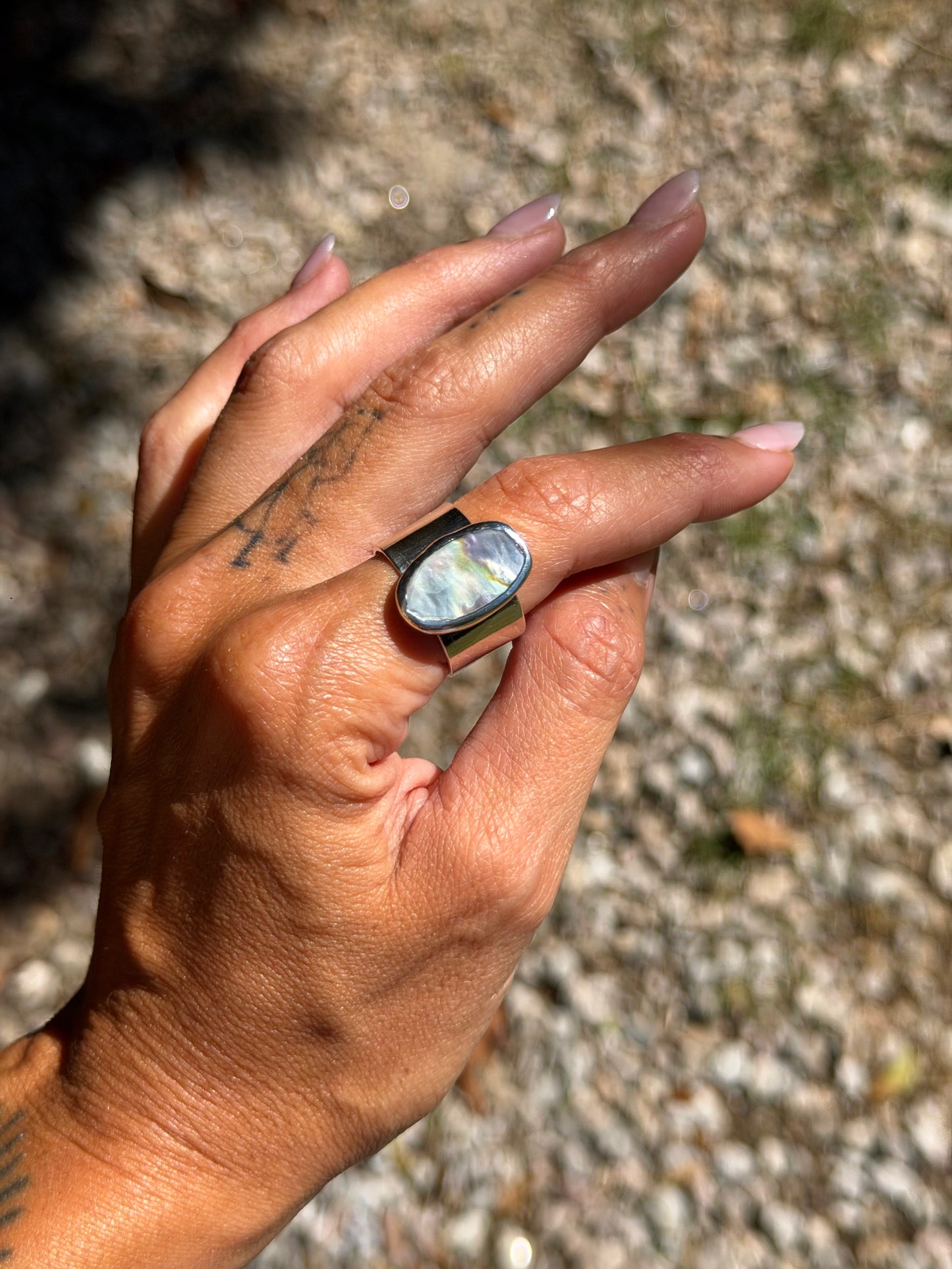 Chunky Abalone (Size 8-9)